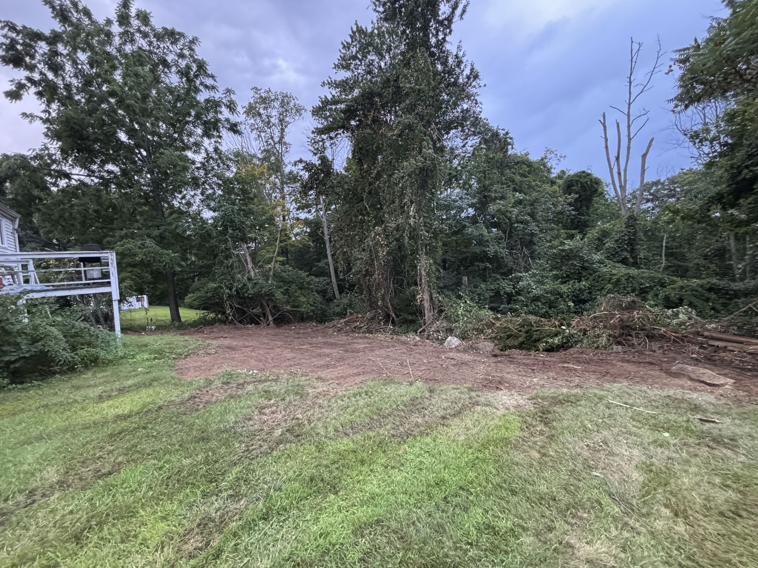 After — complete shrub removal, Southbridge, MA finished